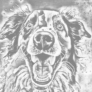 Chien gai et joueur - Dottingo