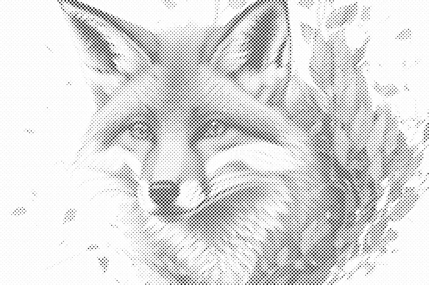 Renard dans les feuilles - Dottingo
