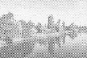 Hyde Park, Londres 2 - Dottingo