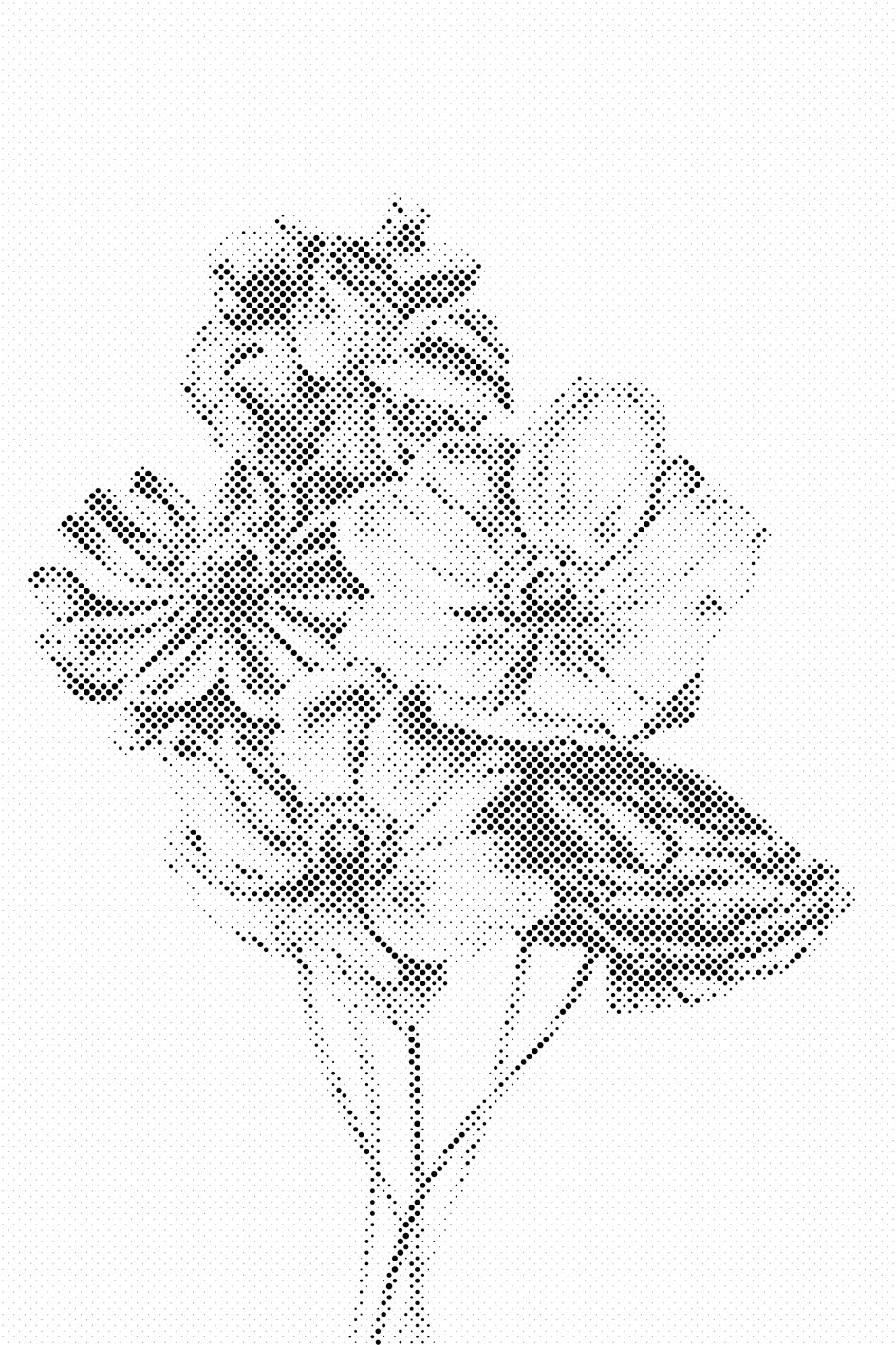 Bouquet - Dottingo