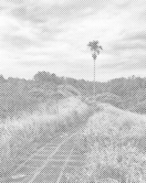 Rizière à Bali - Dottingo