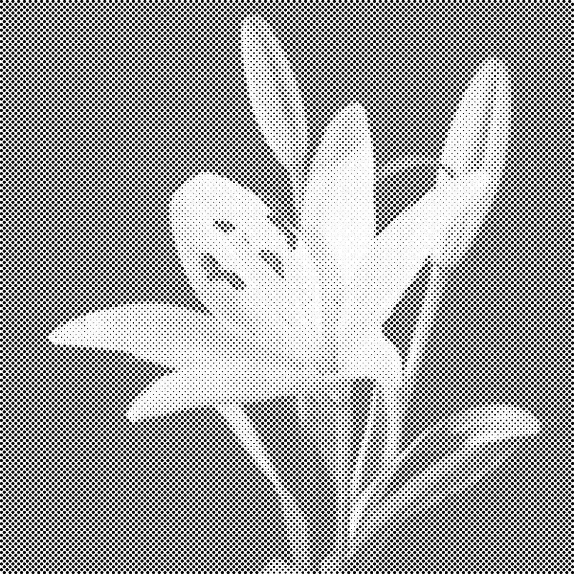 Lys - Dottingo