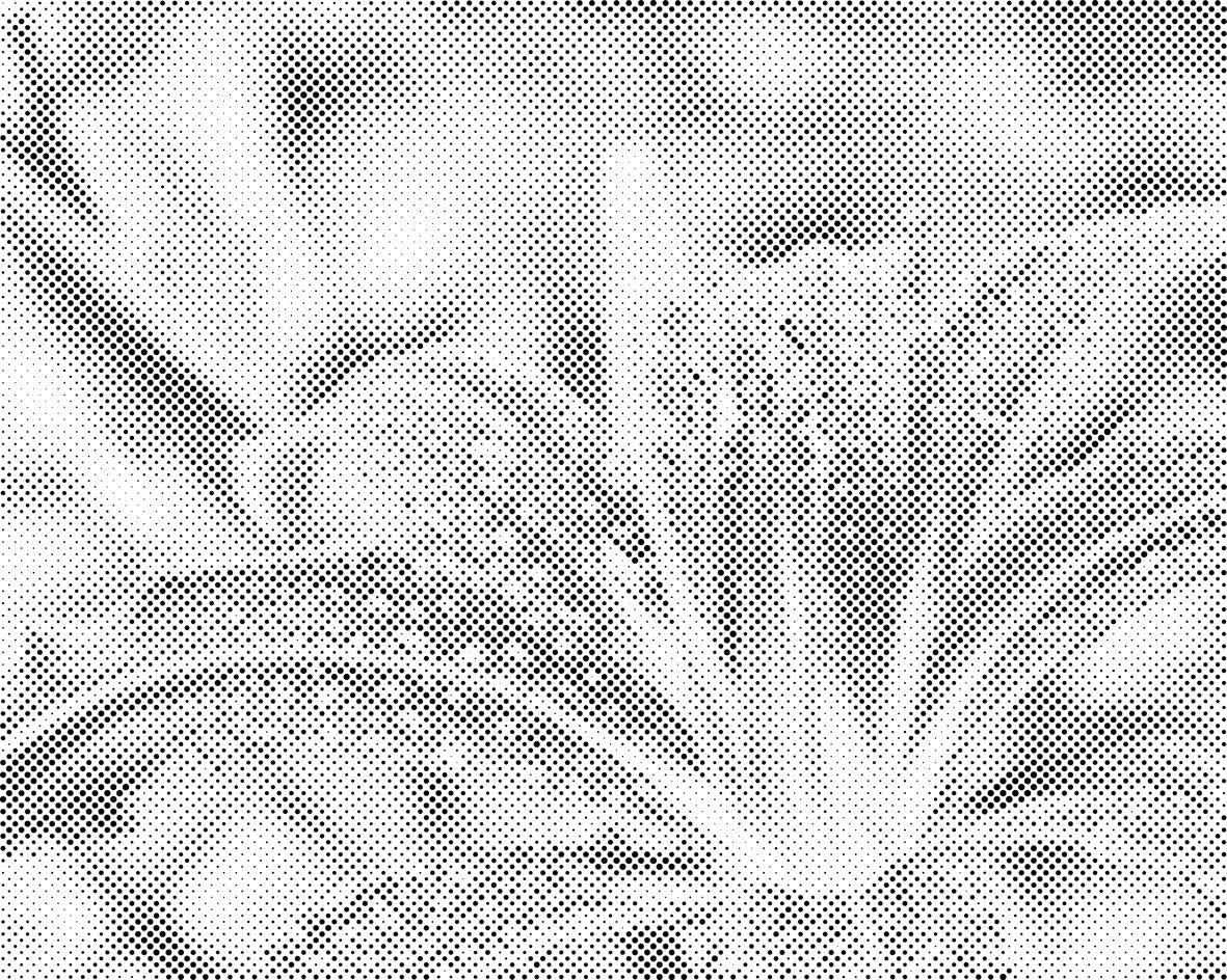 Gouttes d'eau sur une fleur de lys - Dottingo