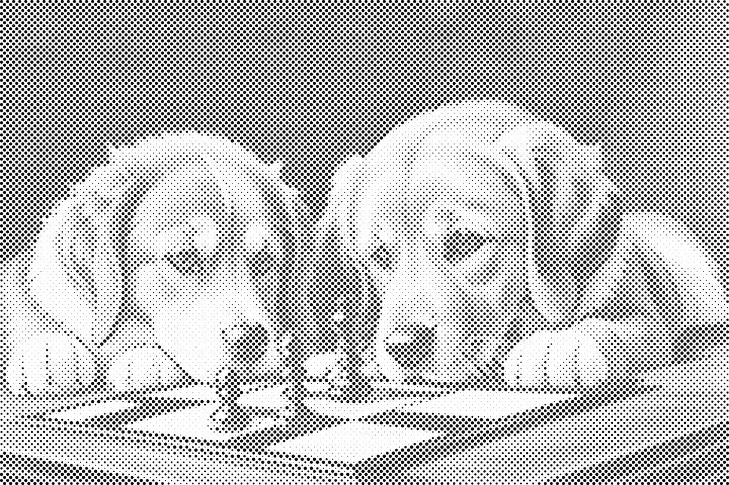 Chien et échecs 1 - Dottingo