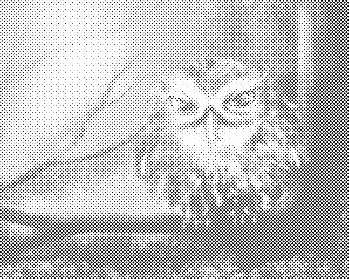 Hibou sage - Dottingo