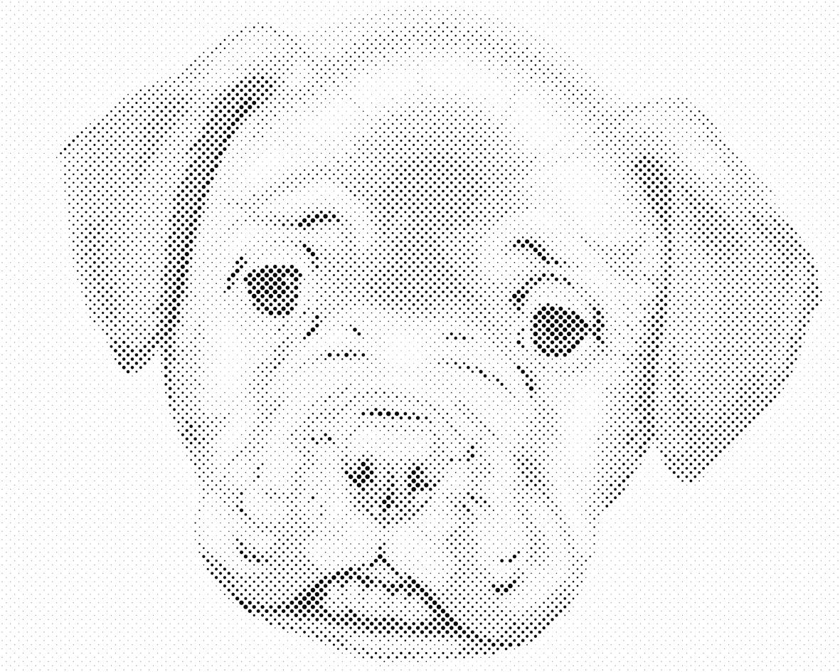 Petit chiot - Dottingo