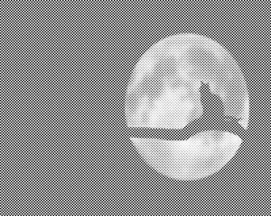 Chat à la pleine lune - Dottingo