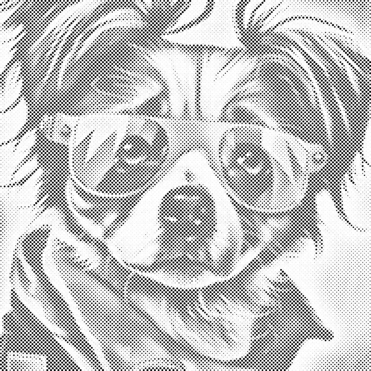 Chien avec des lunettes élégantes 1 - Dottingo