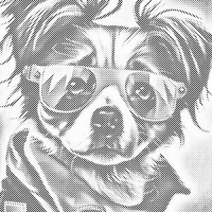 Chien avec des lunettes élégantes 1 - Dottingo