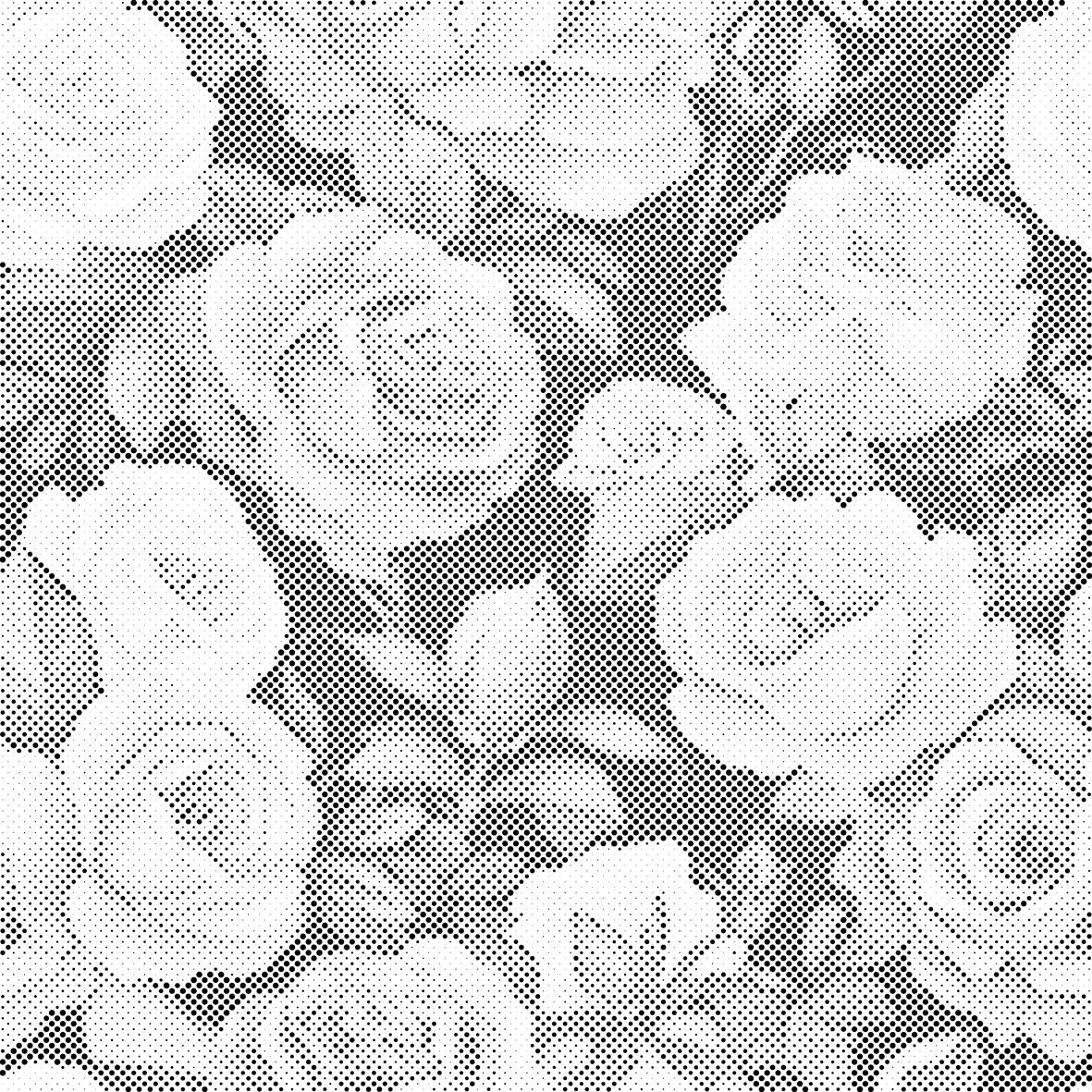 Fond floral - roses - Dottingo