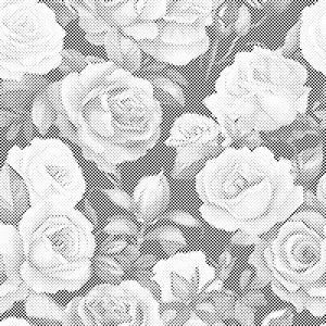Fond floral - roses - Dottingo