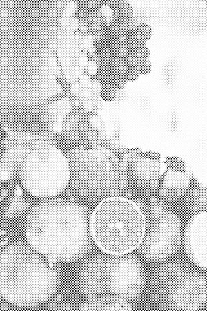 Noix de coco et fruits - Dottingo