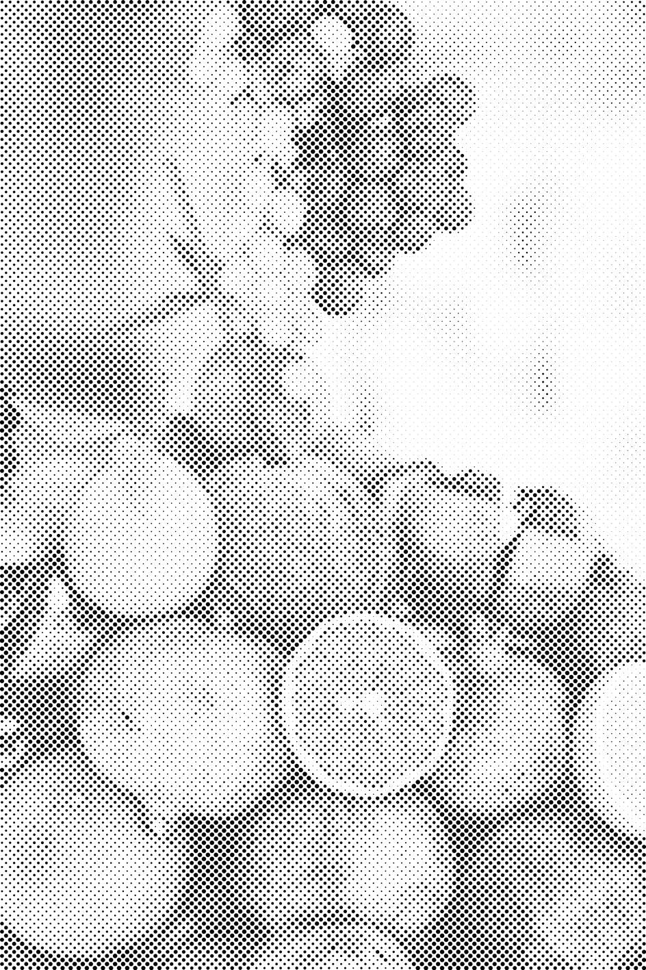 Noix de coco et fruits - Dottingo