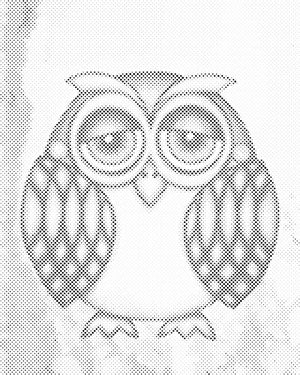 Hibou aux joues roses - Dottingo
