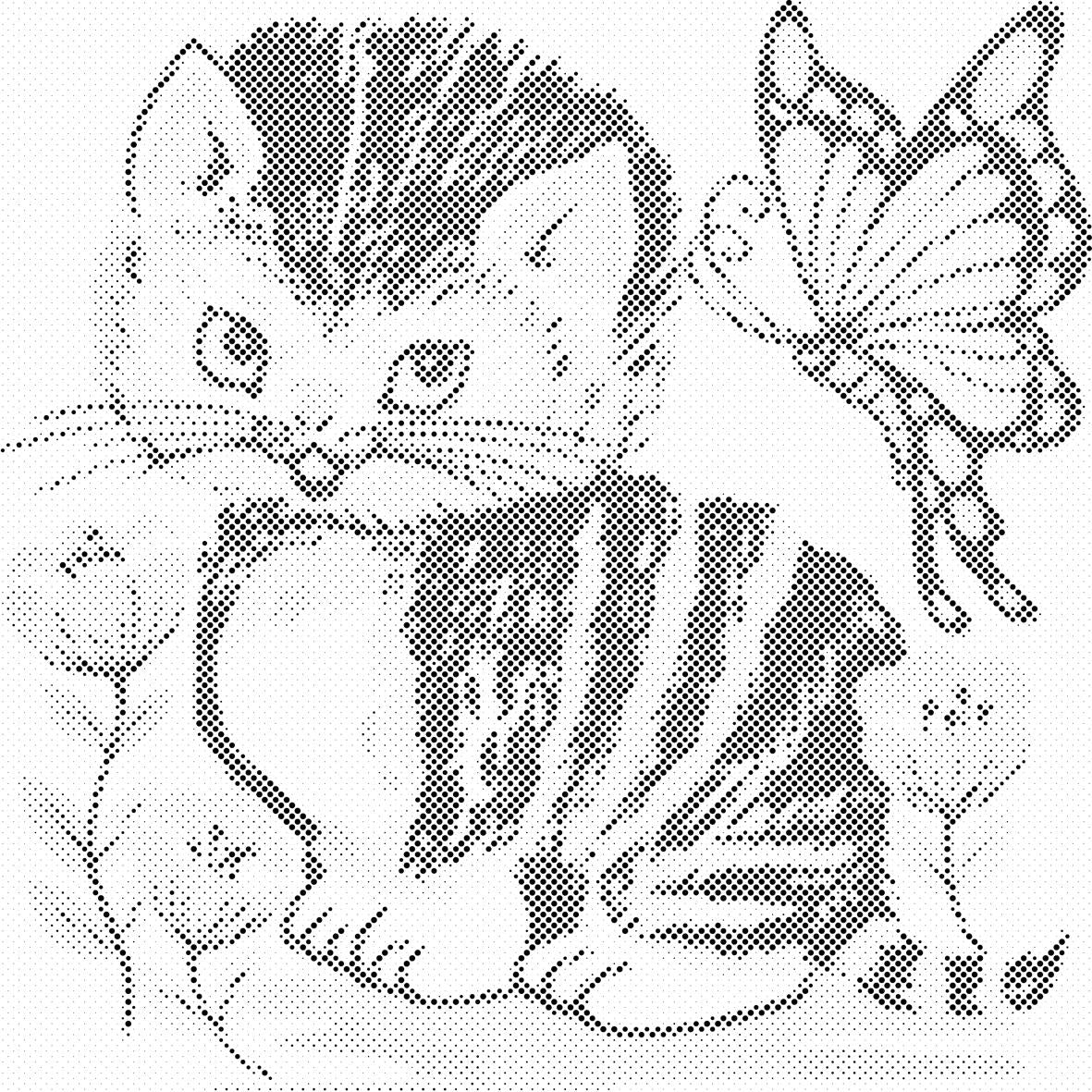 Chat avec papillon - Dottingo