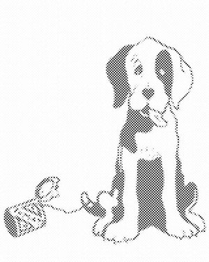 Chien N/B - Dottingo