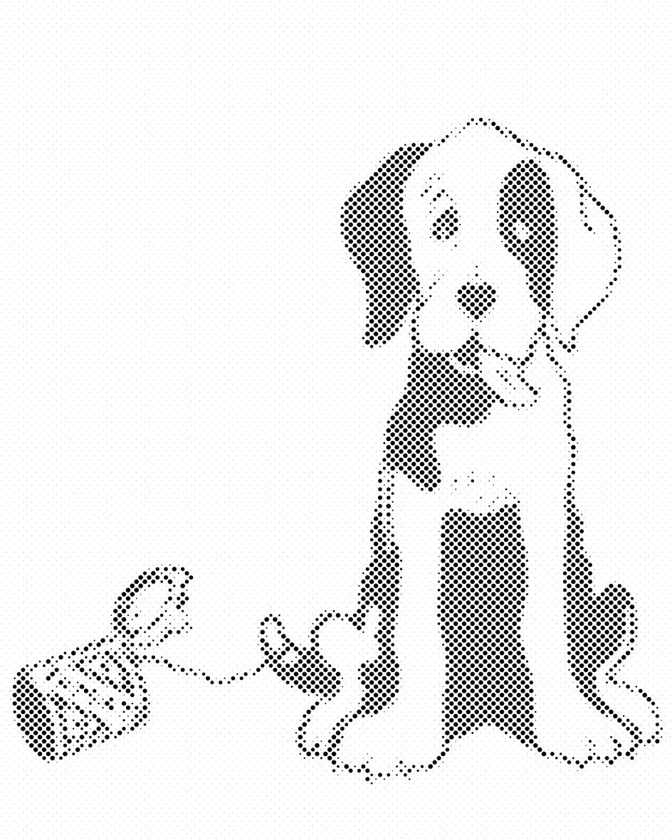 Chien N/B - Dottingo