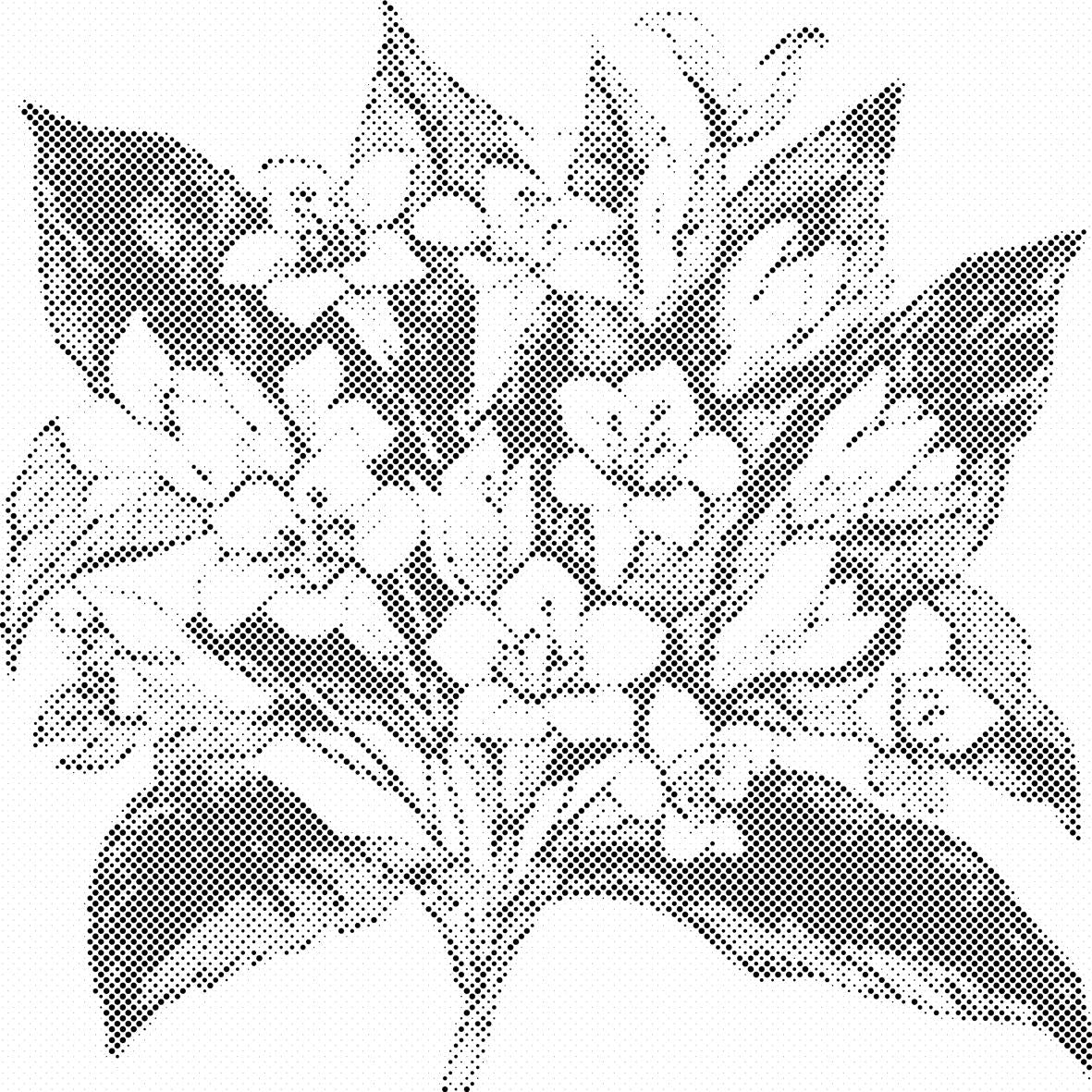Bouquet de fleurs - Dottingo
