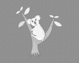 Koala sur l'arbre - Dottingo