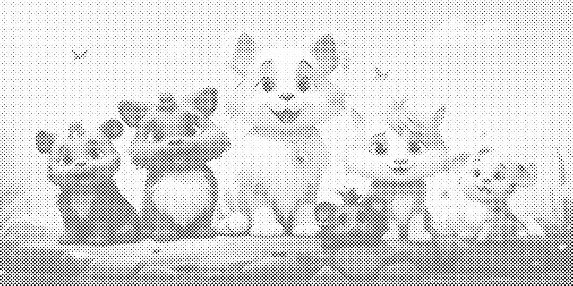 Fête d’animaux - Dottingo