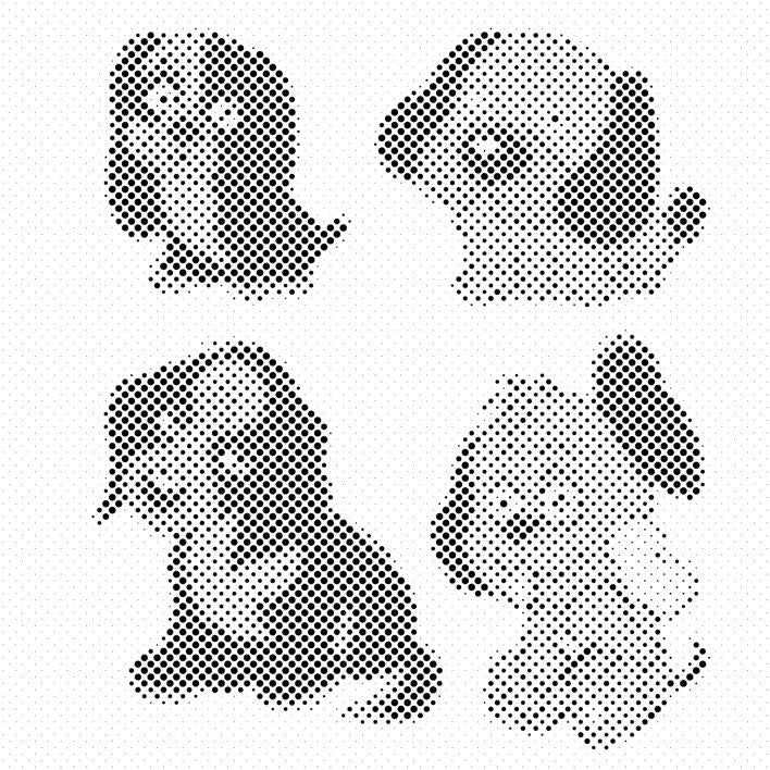 Chiot mignon - Dottingo