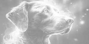 Chien arc-en-ciel - Dottingo