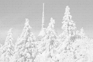 Jested enneigé - Dottingo