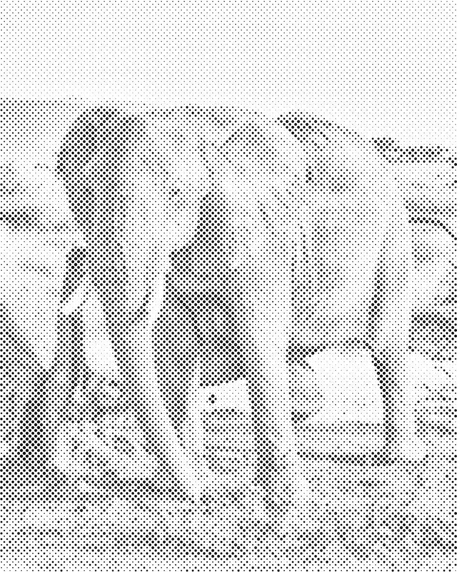 Safari - Éléphant - Dottingo