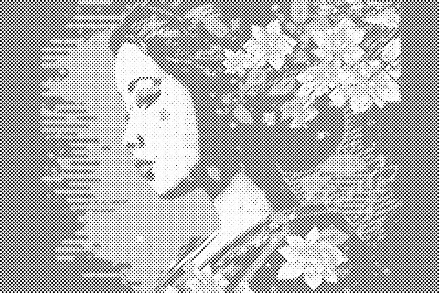 Geisha - Dottingo