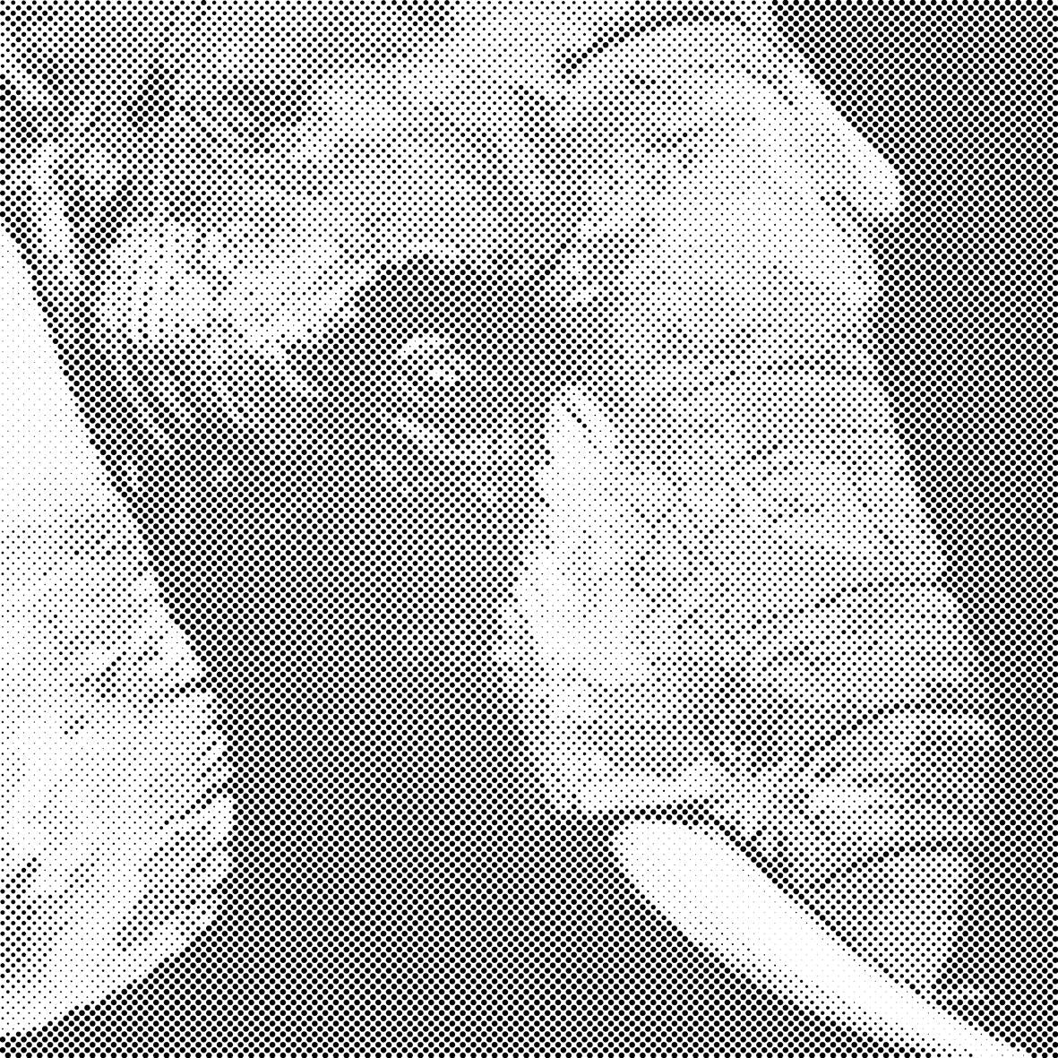 Tête d’éléphant - Dottingo