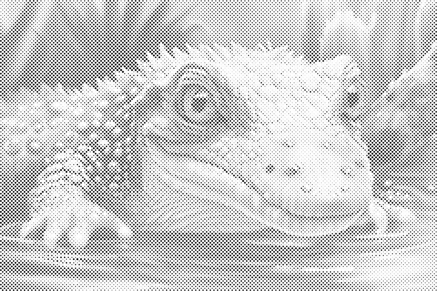 Petit crocodile - Dottingo