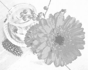 Gerbera et bougie - Dottingo