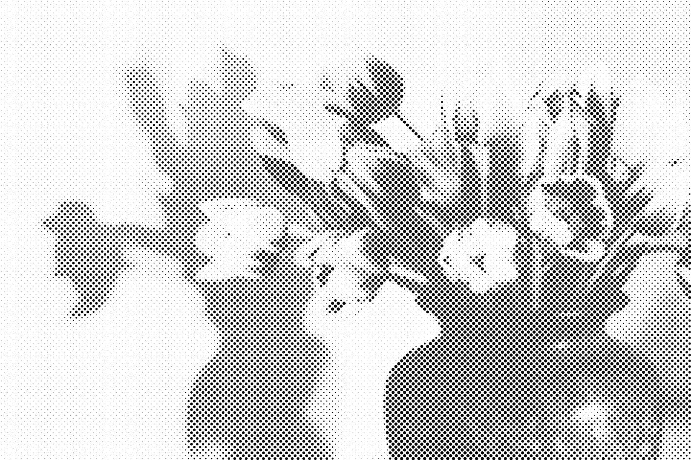 Tulipes dans un vase - Dottingo