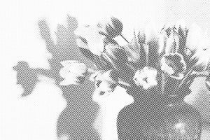 Tulipes dans un vase - Dottingo