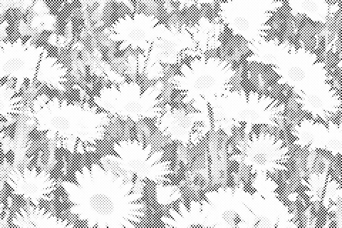 Marguerites dans le pré - Dottingo