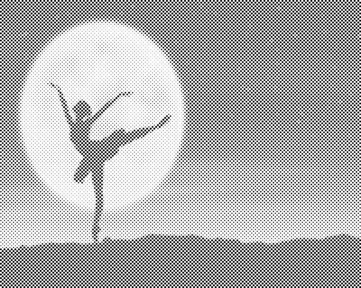 Ballerine à la pleine lune - Dottingo