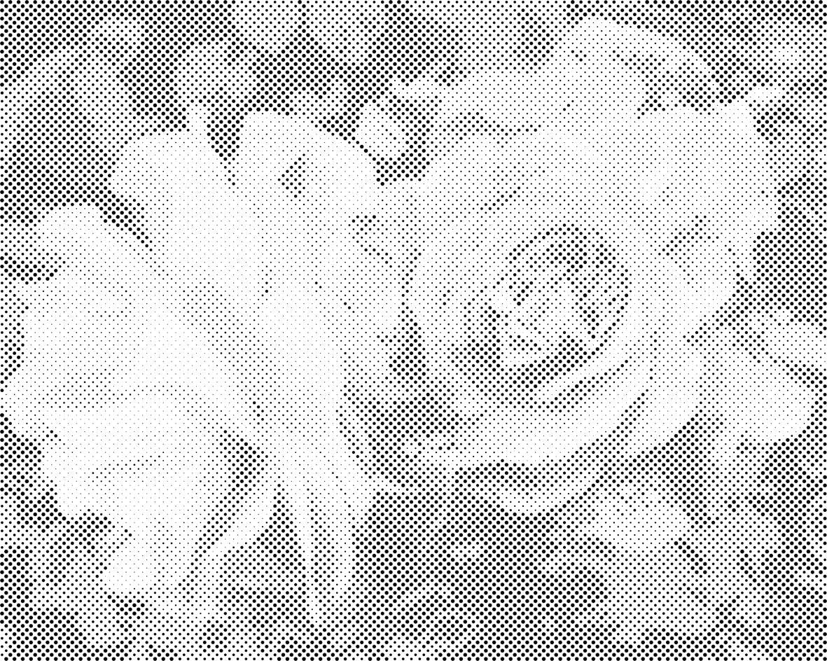 Rose, fleurs de beauté - Dottingo