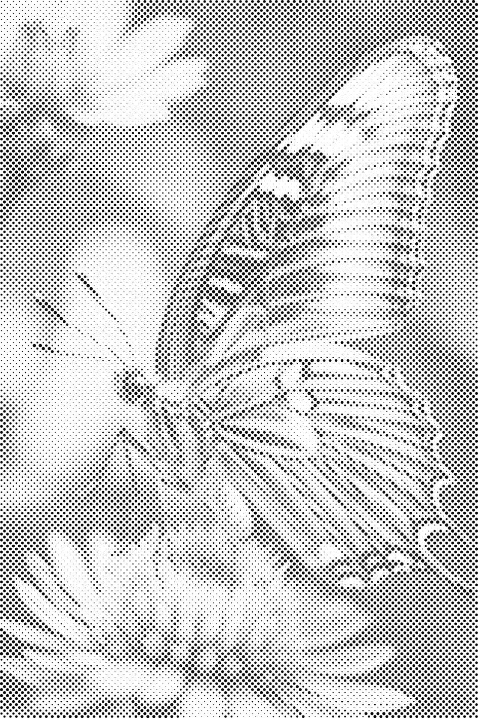 Papillon sur une fleur - Dottingo