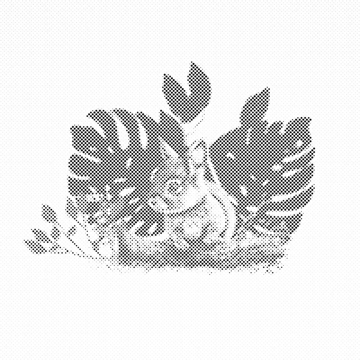 Le lapin et la plante monstera - Dottingo