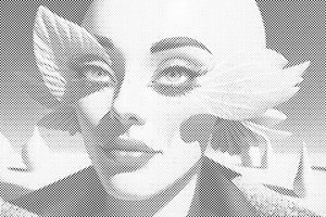 Dame citron - Dottingo