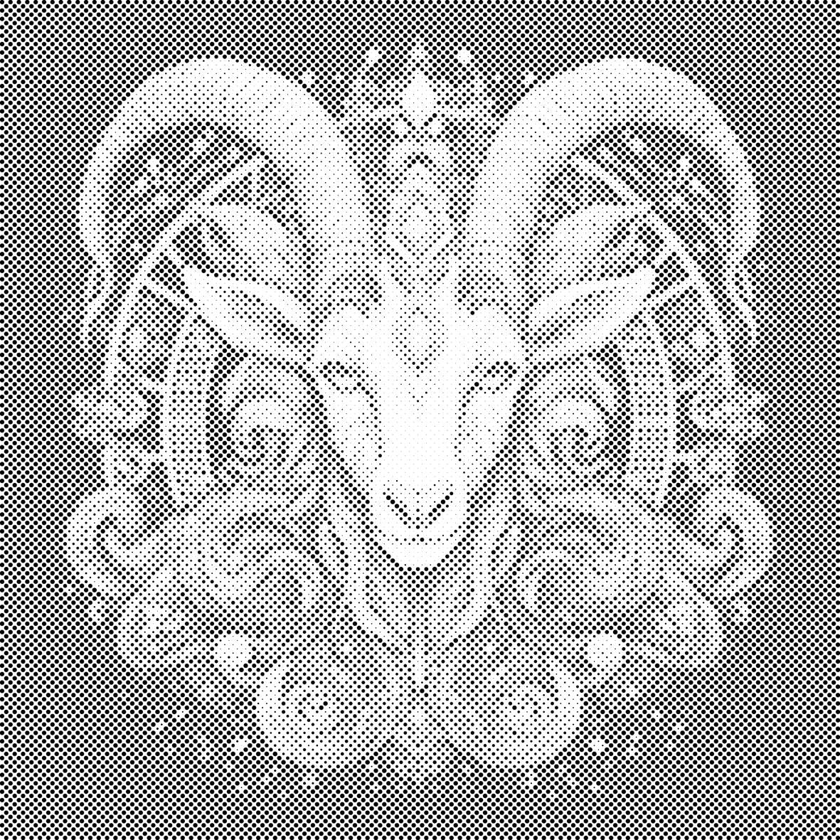Capricorne 2 - Dottingo