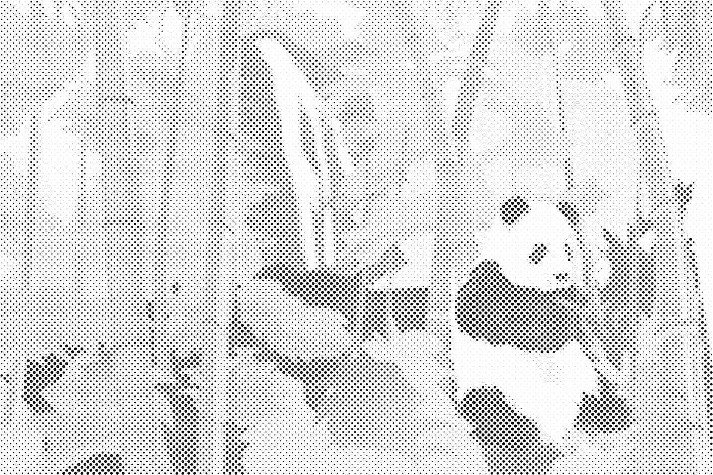 Panda dans la forêt tropicale - Dottingo