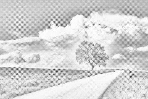 Arbre abandonné - Dottingo