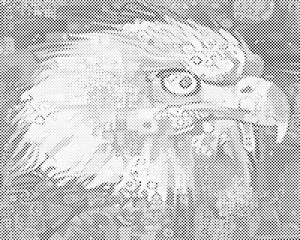 Tête d’aigle - Dottingo