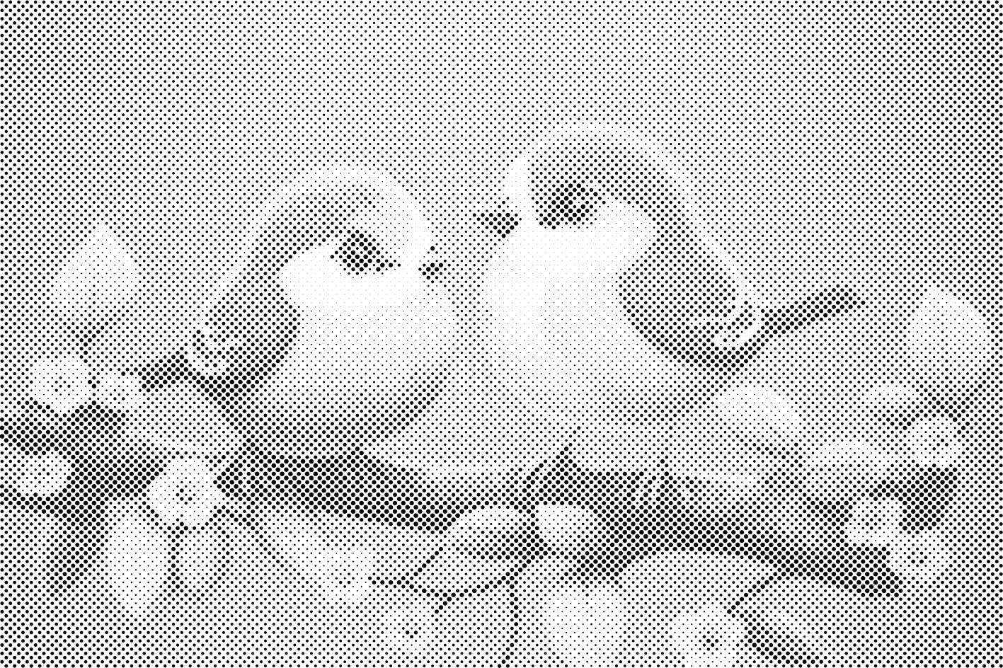 Oiseaux mignons - Dottingo