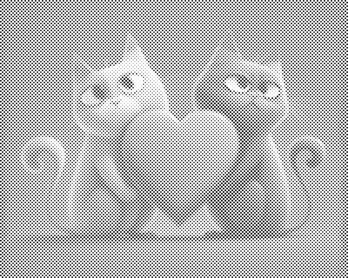 Chats amoureux 2 - Dottingo