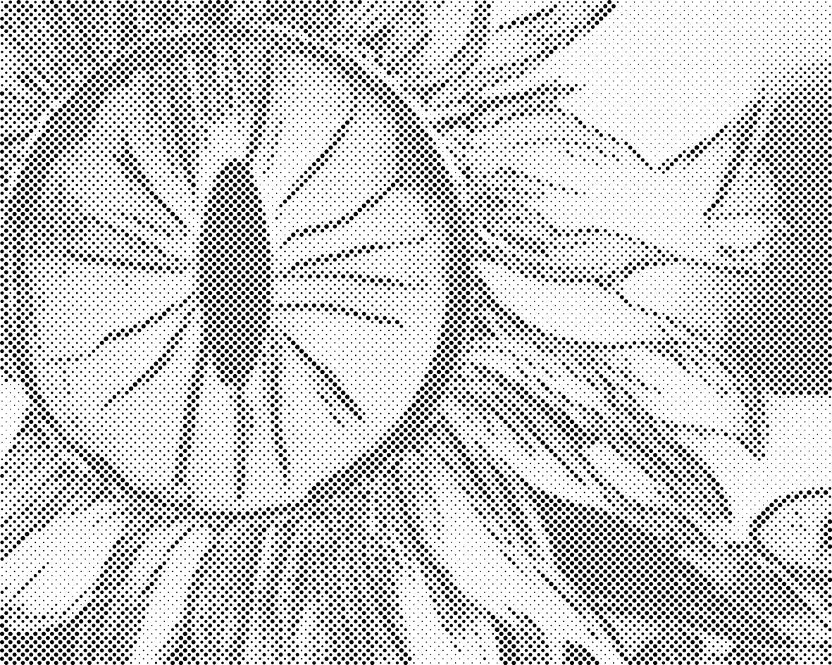 Œil de tournesol - Dottingo