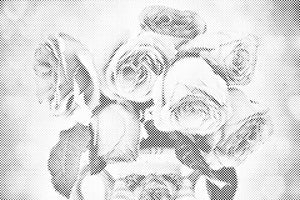 Rose dans un vase - Dottingo