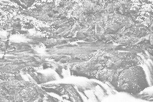 Cascade de Szepit sur le ruisseau Hylaty, Pologne - Dottingo