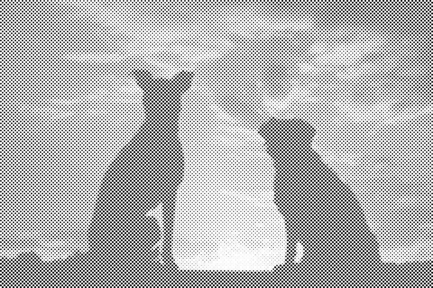 Chiens amis - Dottingo